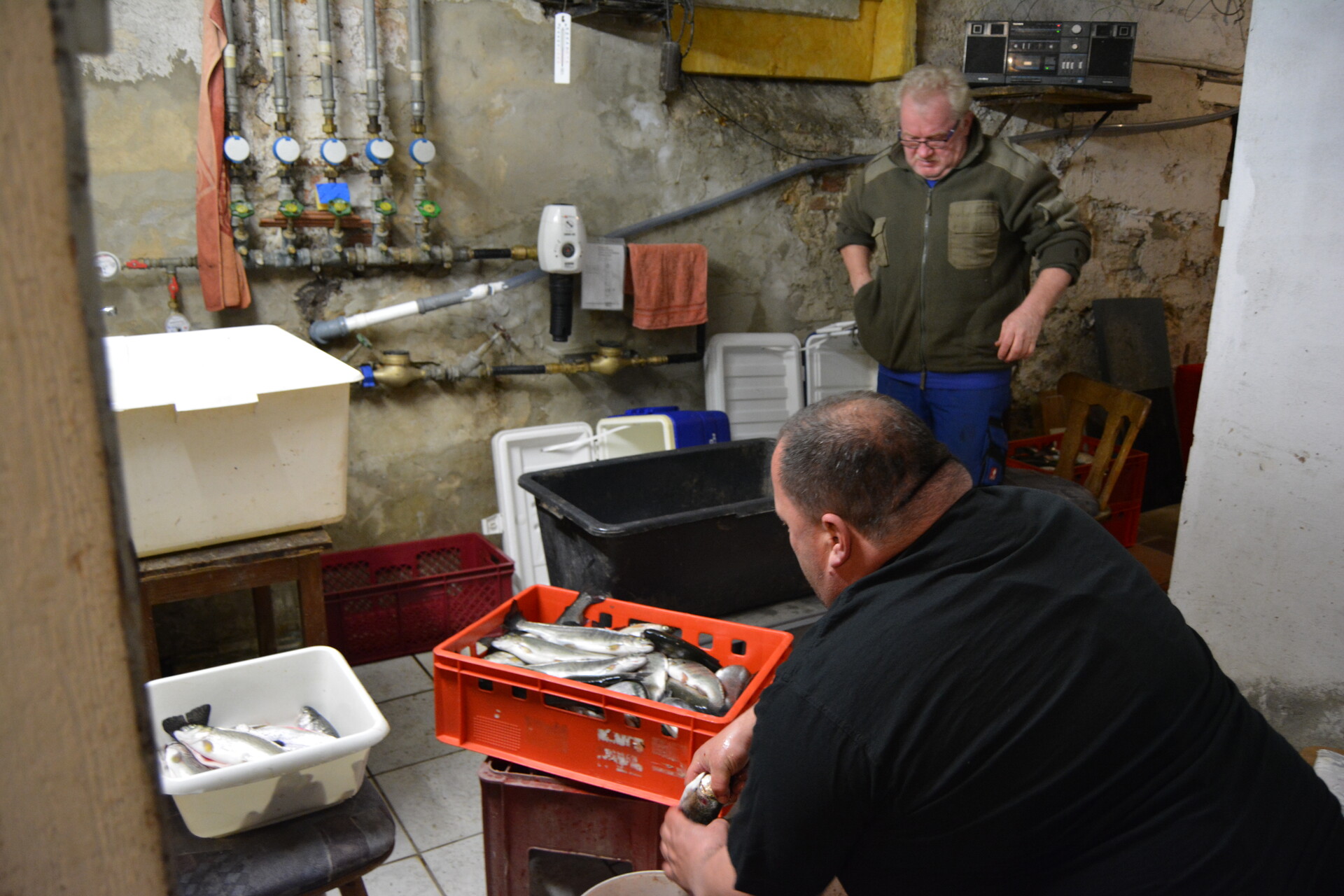 Galeriebild: Fische räuchern 001 1